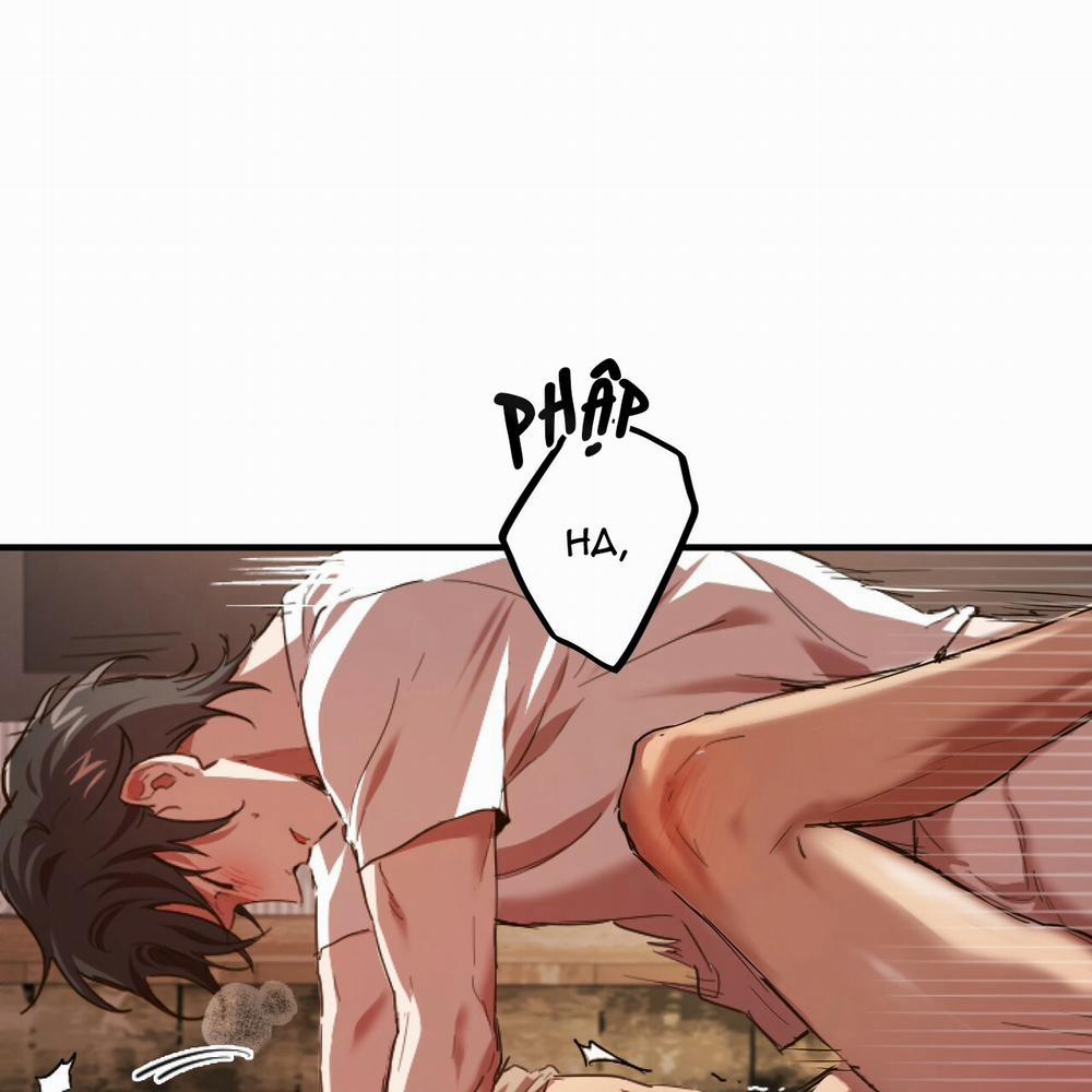 Những Chú Thỏ Của Hapypy 1 trang 22