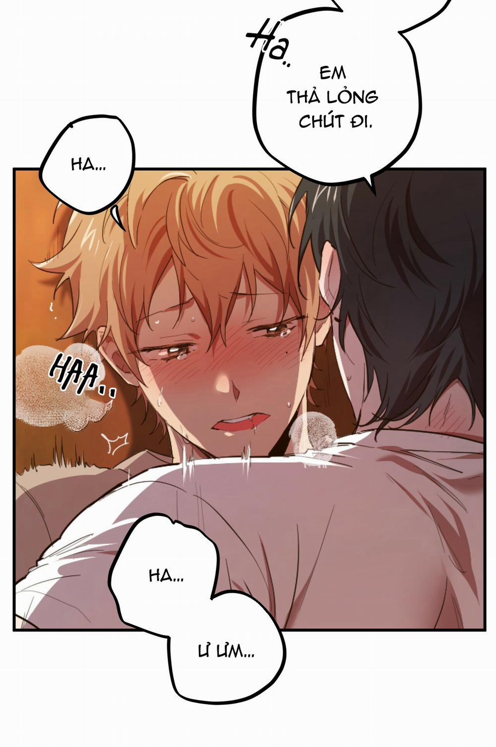 Những Chú Thỏ Của Hapypy 1 trang 24