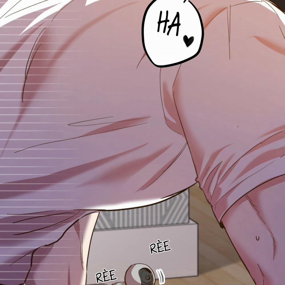 Những Chú Thỏ Của Hapypy 1 trang 27