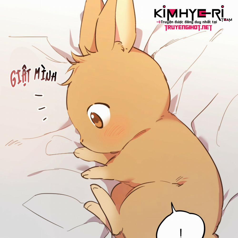 Những Chú Thỏ Của Hapypy 1 trang 43