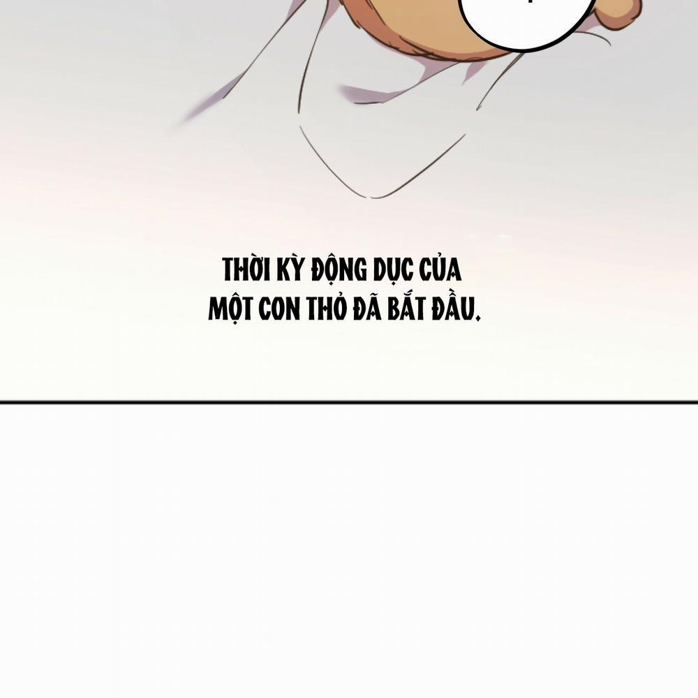 Những Chú Thỏ Của Hapypy 1 trang 44