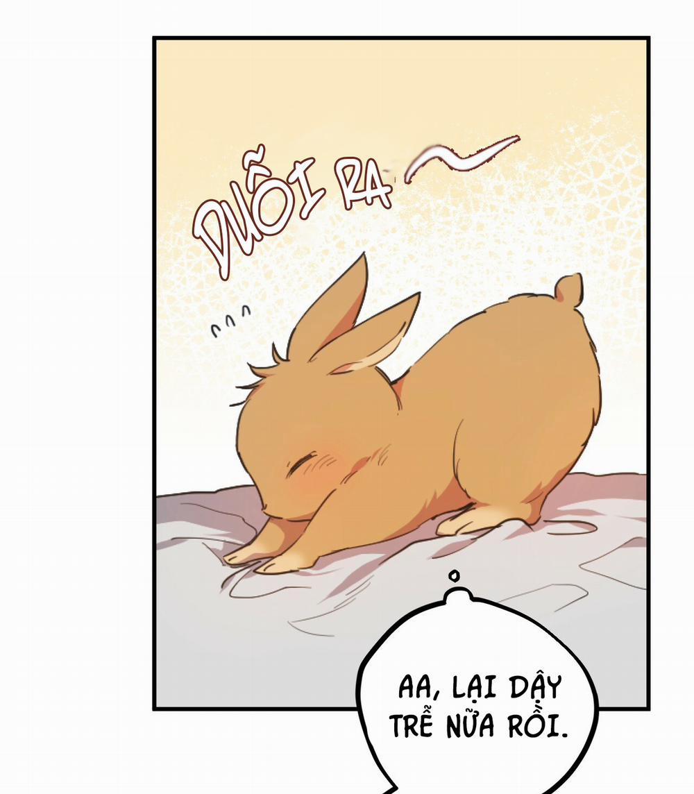 Những Chú Thỏ Của Hapypy 1 trang 45