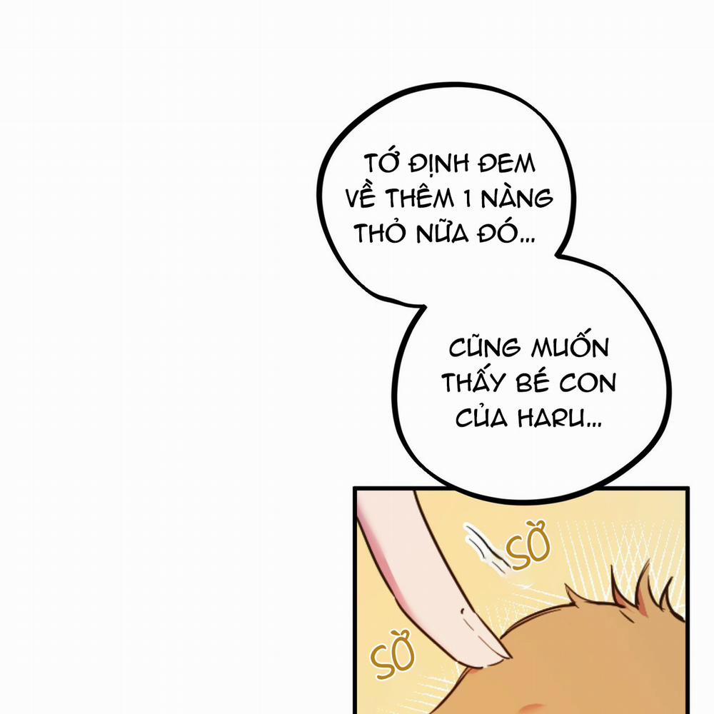 Những Chú Thỏ Của Hapypy 1 trang 58