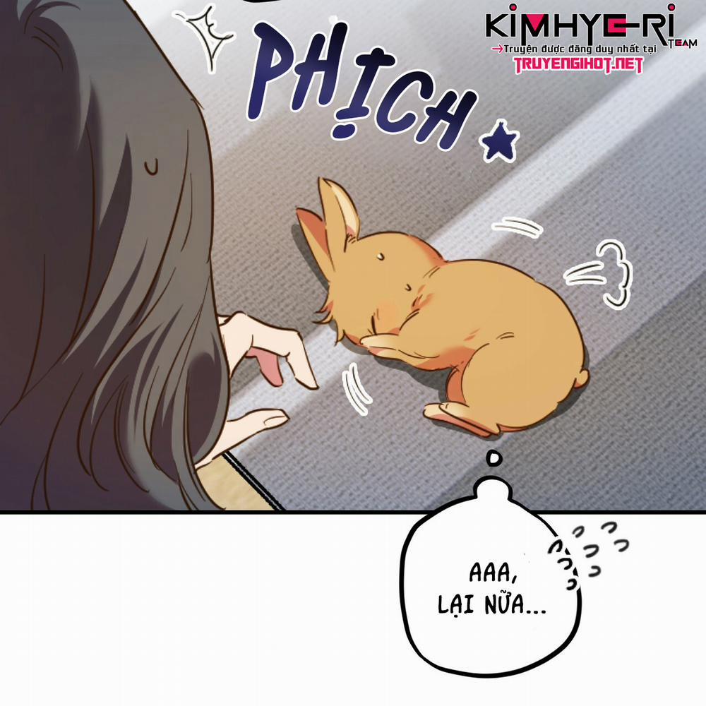 Những Chú Thỏ Của Hapypy 1 trang 60