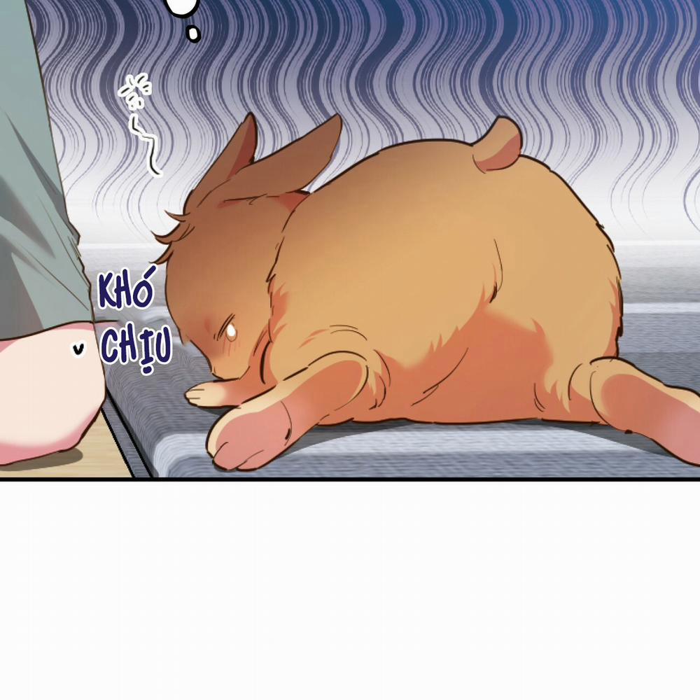 Những Chú Thỏ Của Hapypy 1 trang 62