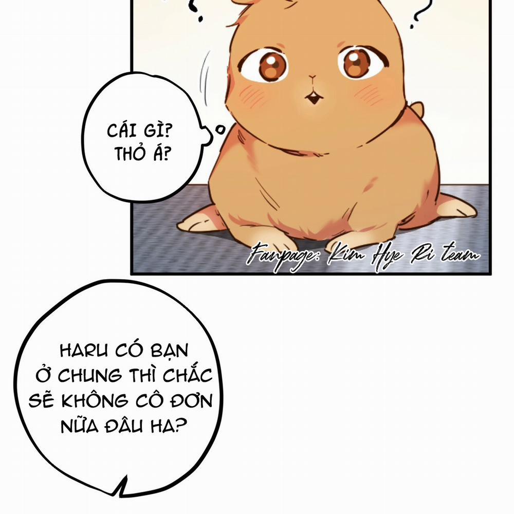 Những Chú Thỏ Của Hapypy 1 trang 64