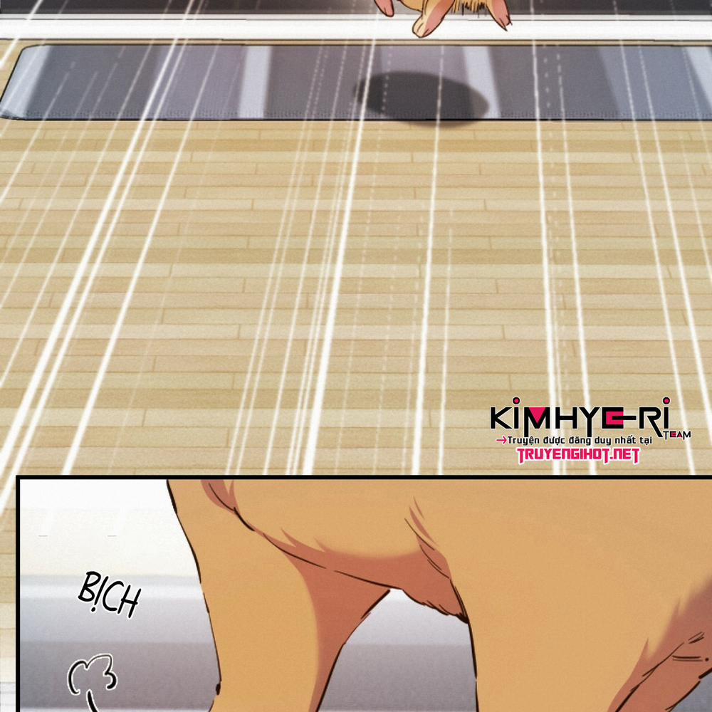 Những Chú Thỏ Của Hapypy 1 trang 75