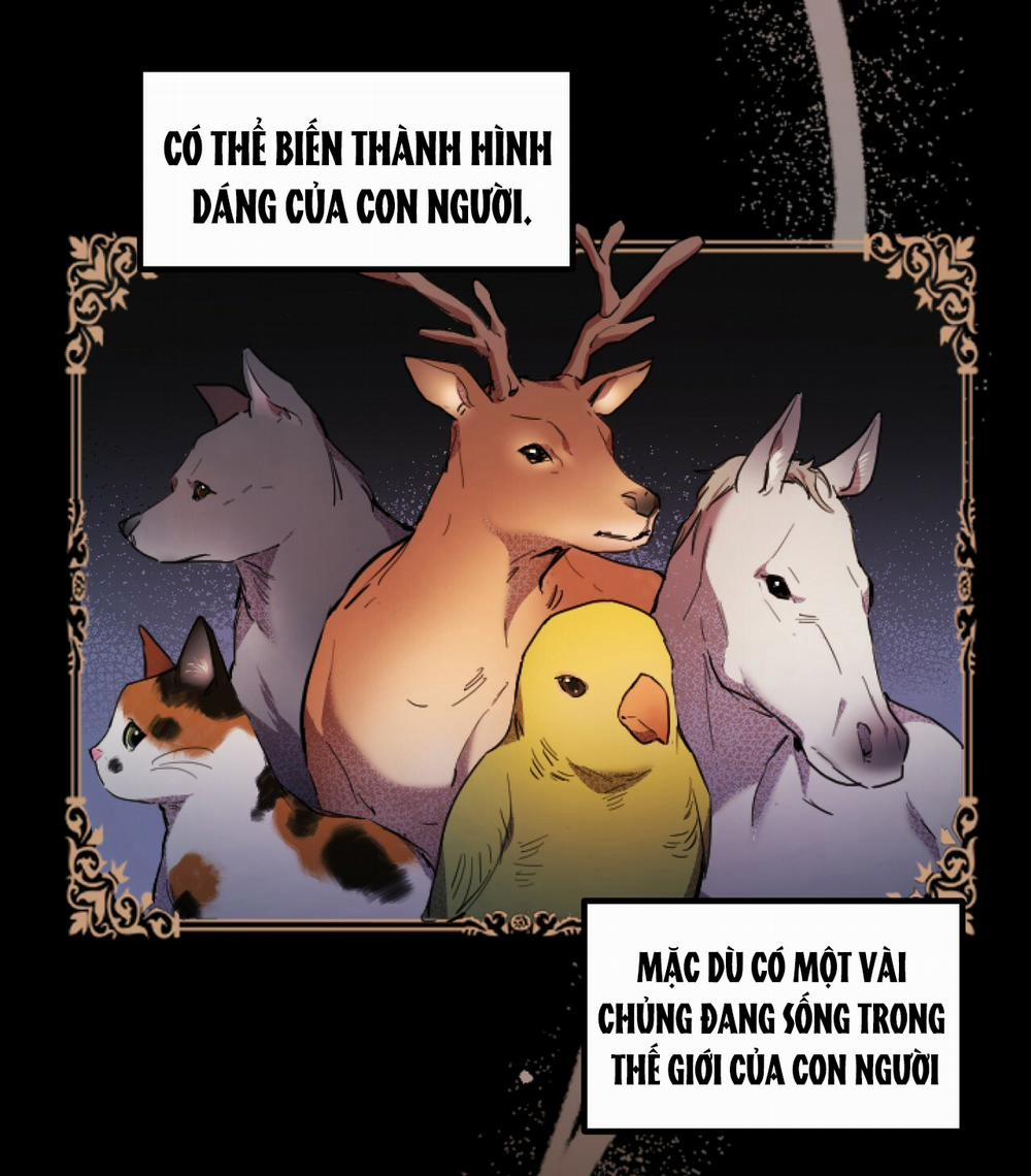 Những Chú Thỏ Của Hapypy 1 trang 83