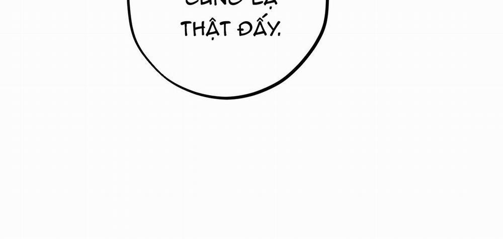 Những Chú Thỏ Của Hapypy 10.1 trang 114