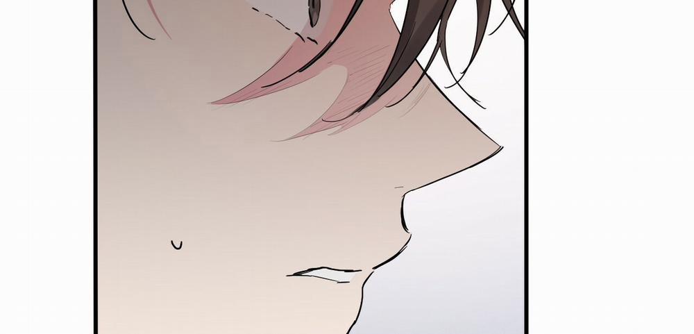 Những Chú Thỏ Của Hapypy 10.1 trang 143