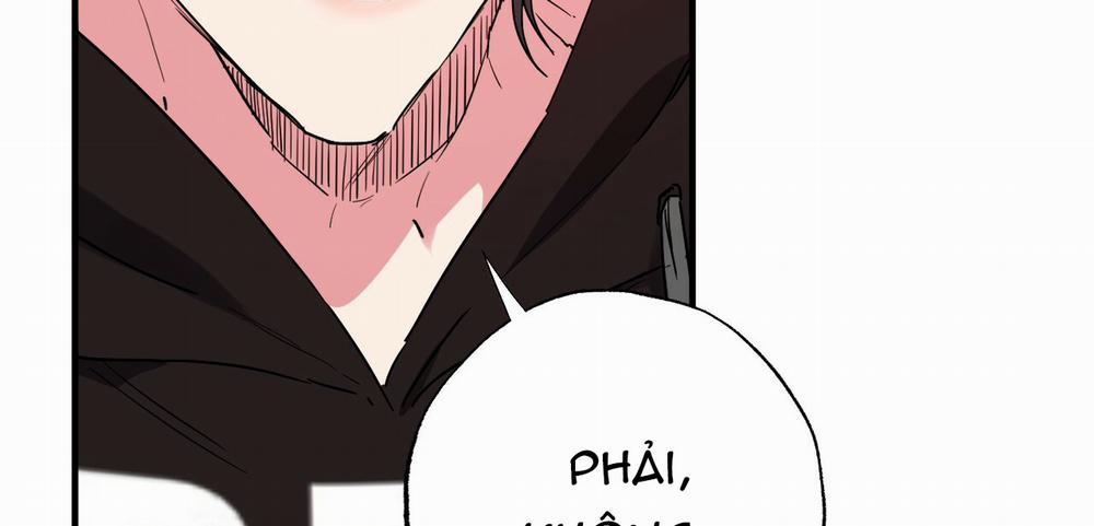 Những Chú Thỏ Của Hapypy 10.1 trang 15