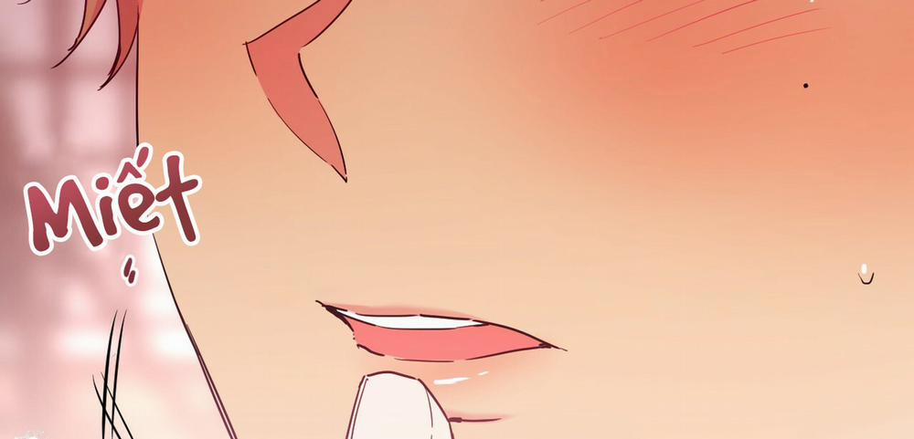 Những Chú Thỏ Của Hapypy 10.1 trang 8