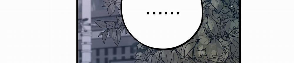 Những Chú Thỏ Của Hapypy 10.2 trang 11