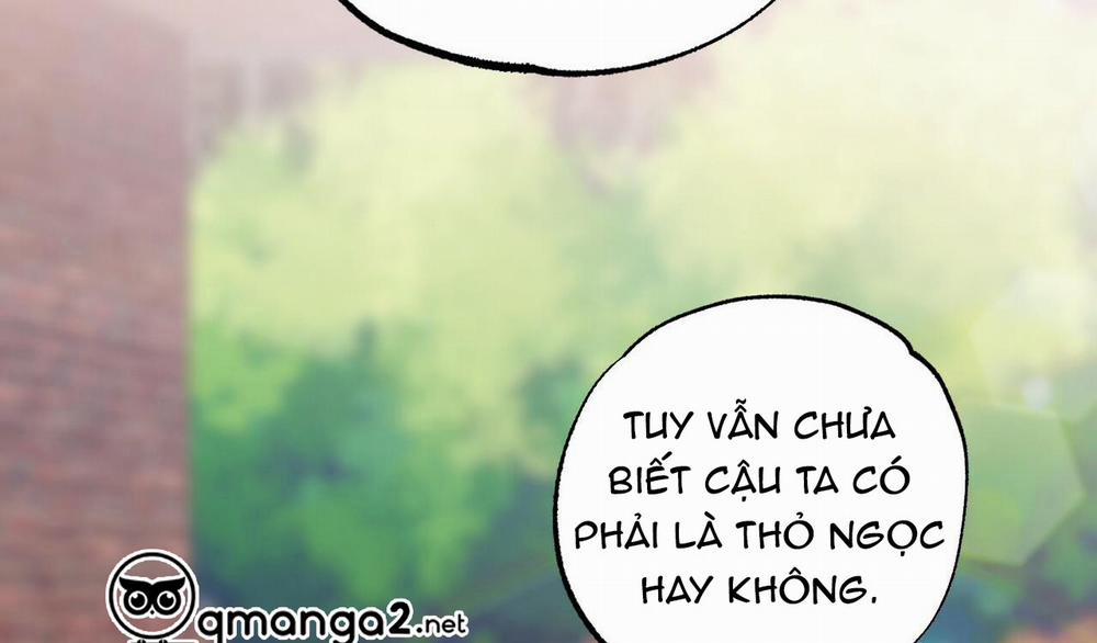 Những Chú Thỏ Của Hapypy 10.2 trang 185