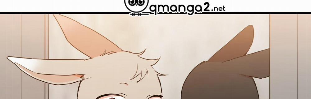 Những Chú Thỏ Của Hapypy 10.2 trang 222