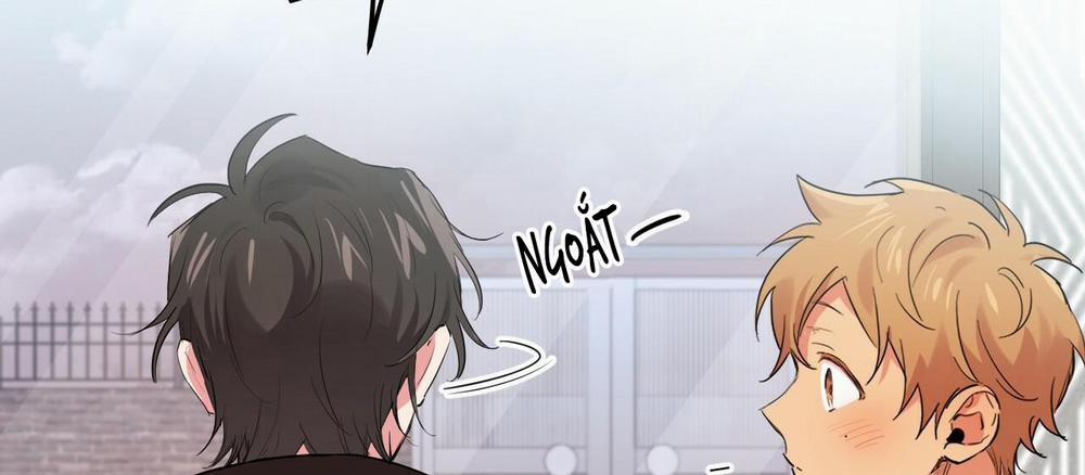 Những Chú Thỏ Của Hapypy 10.2 trang 61