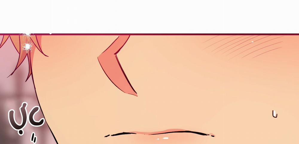 Những Chú Thỏ Của Hapypy 10 trang 11