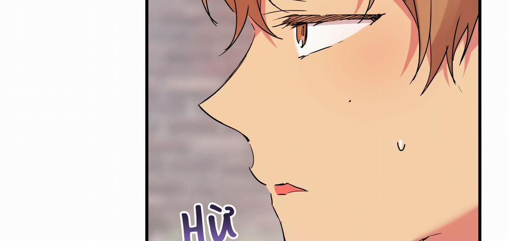 Những Chú Thỏ Của Hapypy 10 trang 113