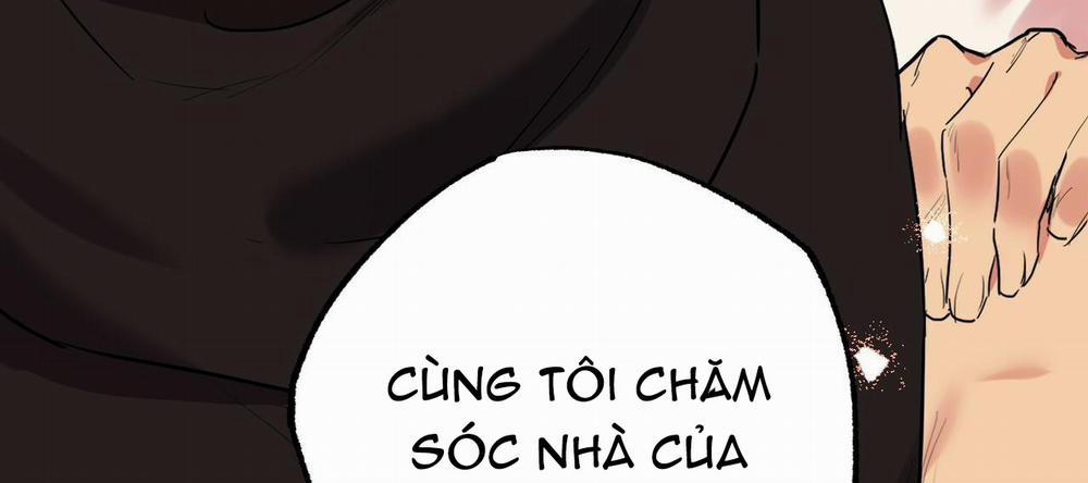 Những Chú Thỏ Của Hapypy 10 trang 246