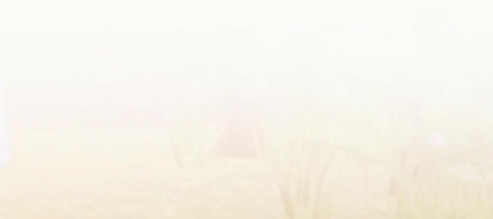 Những Chú Thỏ Của Hapypy 10 trang 255