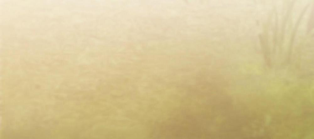 Những Chú Thỏ Của Hapypy 10 trang 256