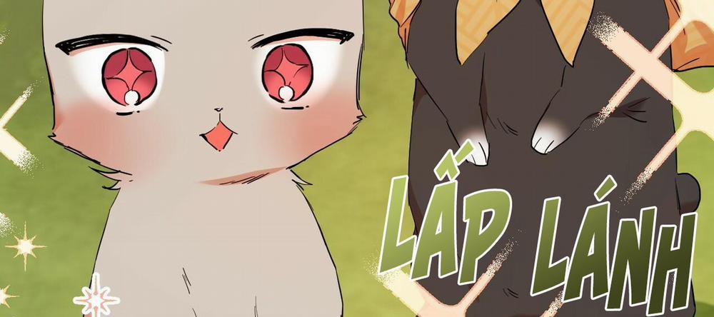 Những Chú Thỏ Của Hapypy 10 trang 259