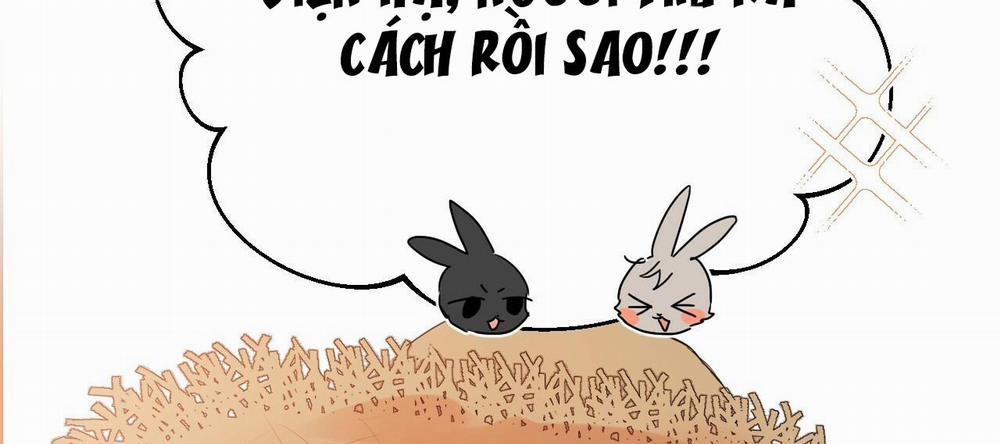 Những Chú Thỏ Của Hapypy 10 trang 262