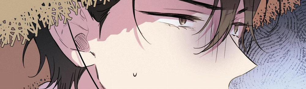 Những Chú Thỏ Của Hapypy 10 trang 278