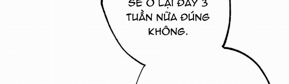 Những Chú Thỏ Của Hapypy 10 trang 283