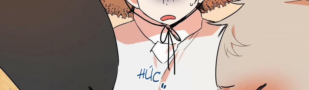 Những Chú Thỏ Của Hapypy 10 trang 296