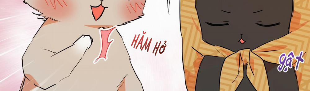 Những Chú Thỏ Của Hapypy 10 trang 312