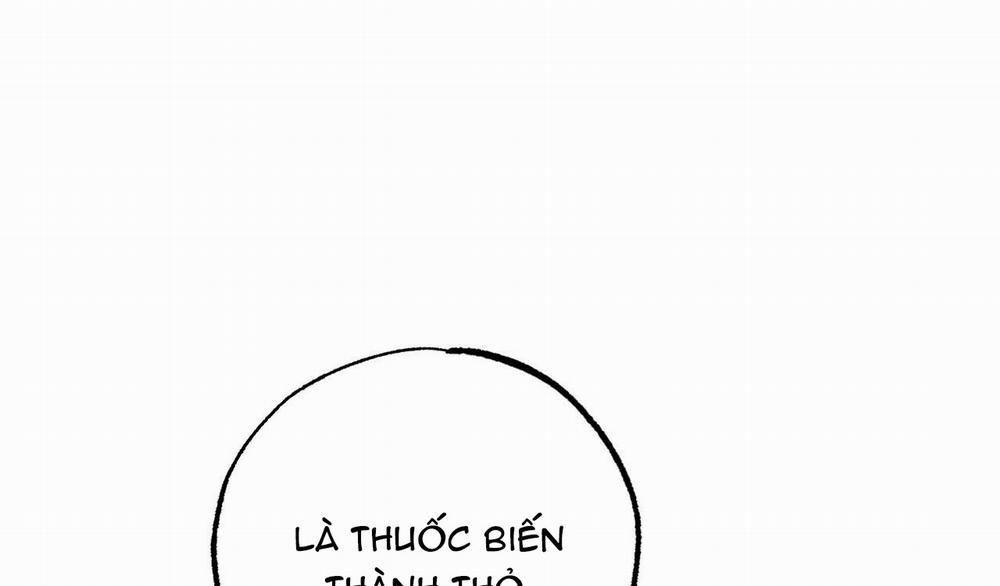 Những Chú Thỏ Của Hapypy 10 trang 332