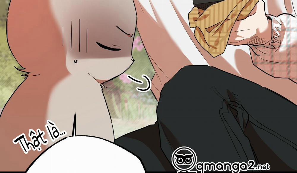 Những Chú Thỏ Của Hapypy 10 trang 339