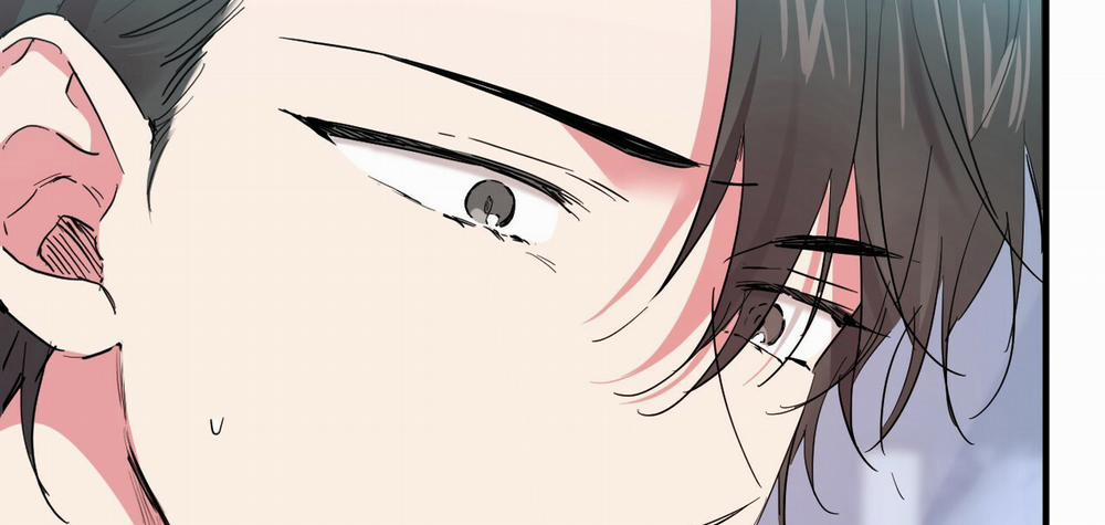 Những Chú Thỏ Của Hapypy 10 trang 35