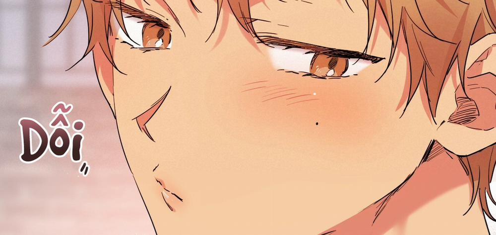 Những Chú Thỏ Của Hapypy 10 trang 43