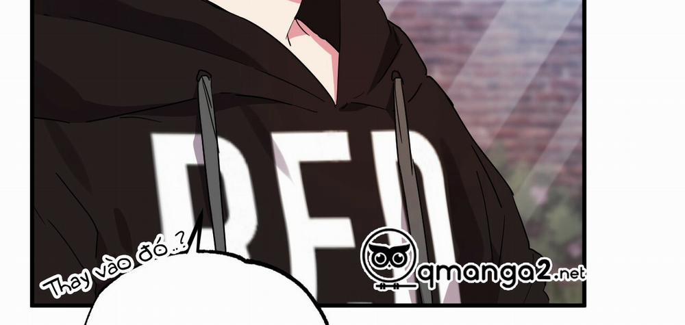 Những Chú Thỏ Của Hapypy 10 trang 55