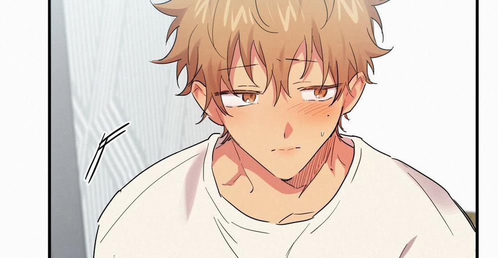 Những Chú Thỏ Của Hapypy 10 trang 82