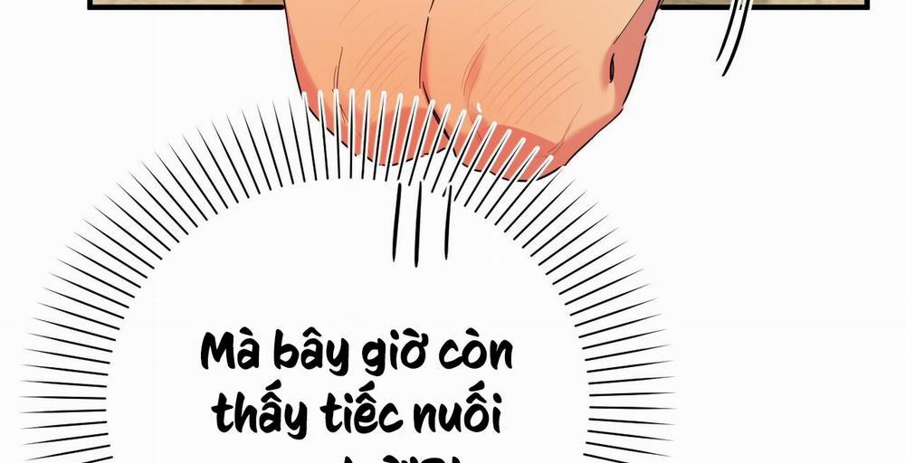 Những Chú Thỏ Của Hapypy 10 trang 85