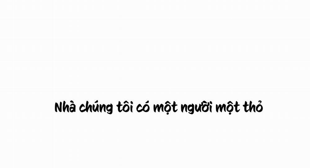 Những Chú Thỏ Của Hapypy 11.1 trang 1