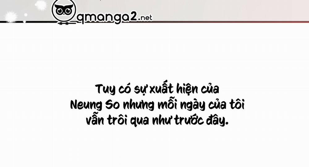 Những Chú Thỏ Của Hapypy 11.1 trang 13