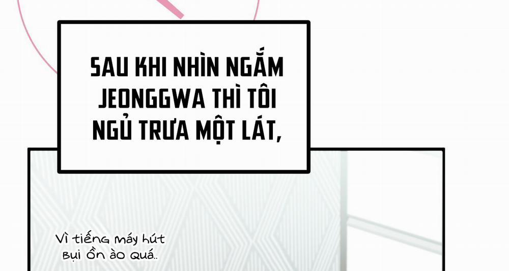 Những Chú Thỏ Của Hapypy 11.1 trang 30