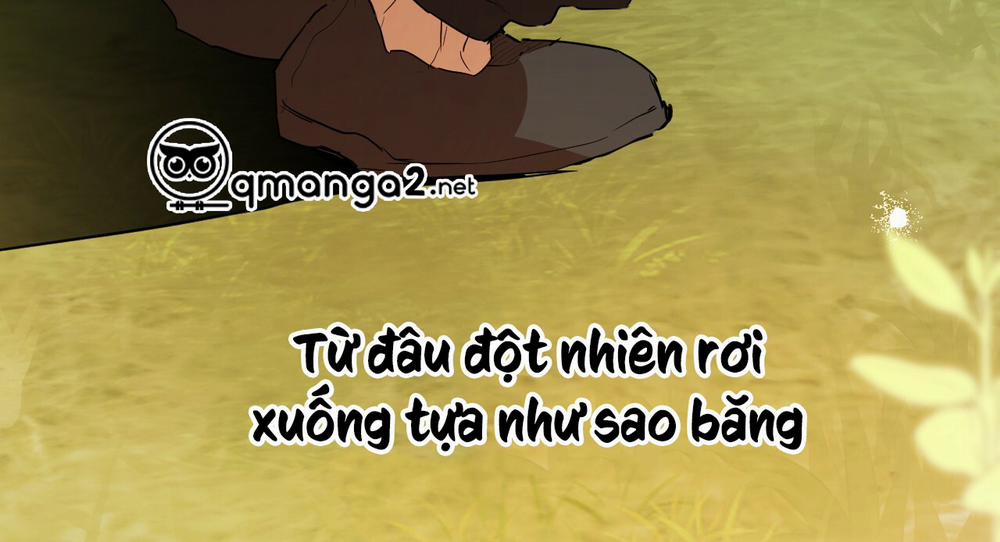 Những Chú Thỏ Của Hapypy 11.1 trang 54