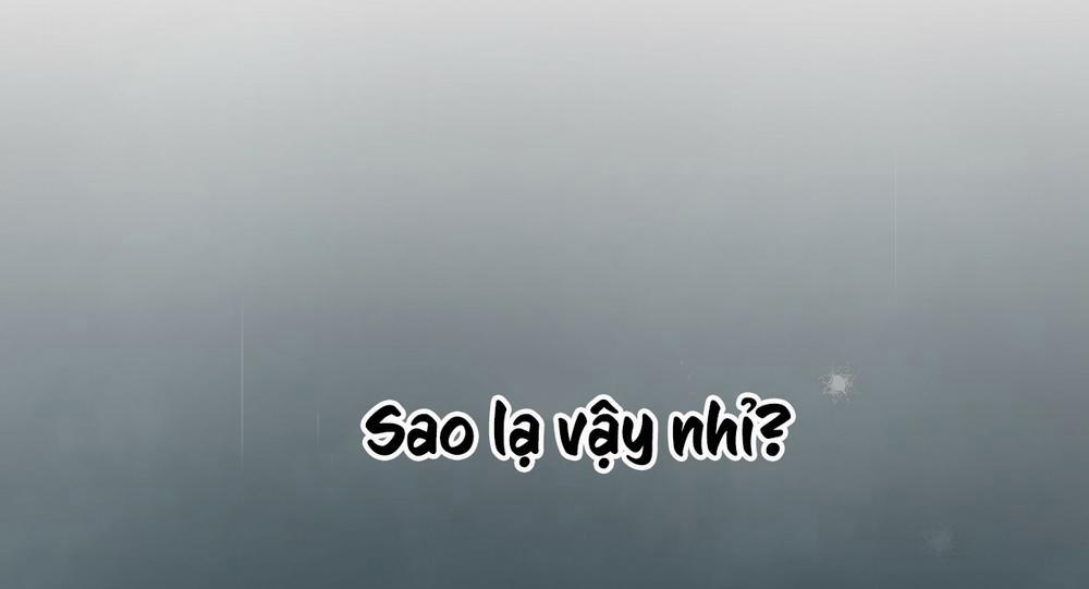 Những Chú Thỏ Của Hapypy 11.1 trang 58