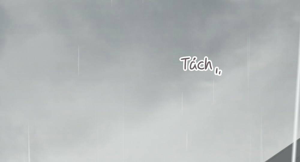 Những Chú Thỏ Của Hapypy 11.1 trang 62