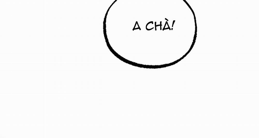 Những Chú Thỏ Của Hapypy 11.1 trang 97