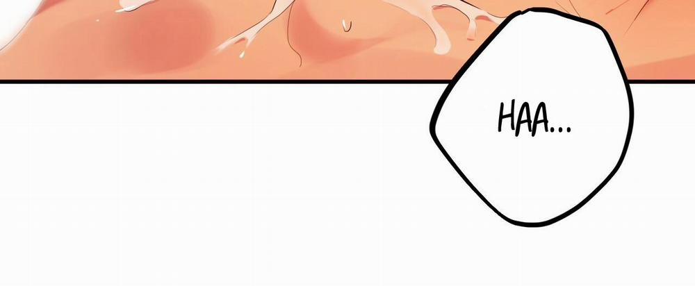 Những Chú Thỏ Của Hapypy 11.2 trang 100