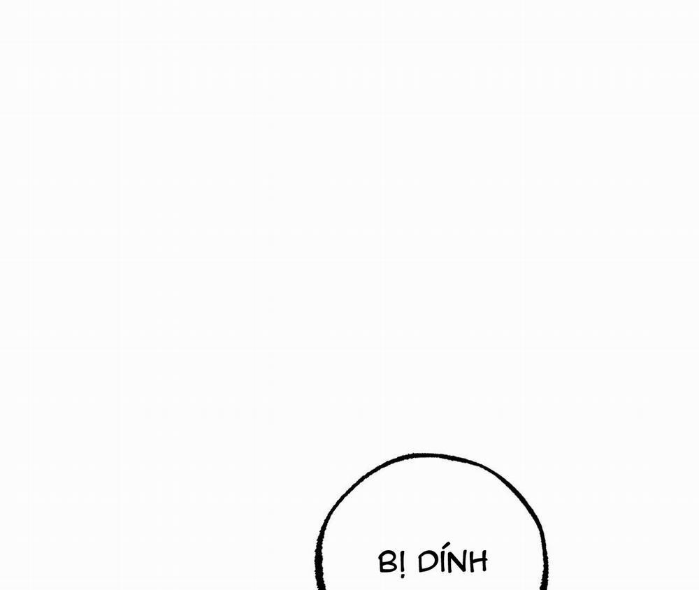 Những Chú Thỏ Của Hapypy 11.2 trang 38