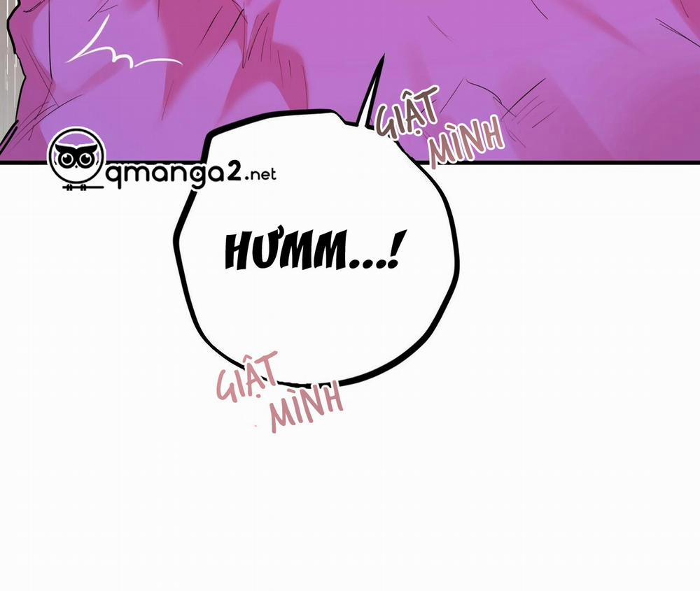 Những Chú Thỏ Của Hapypy 11.2 trang 68