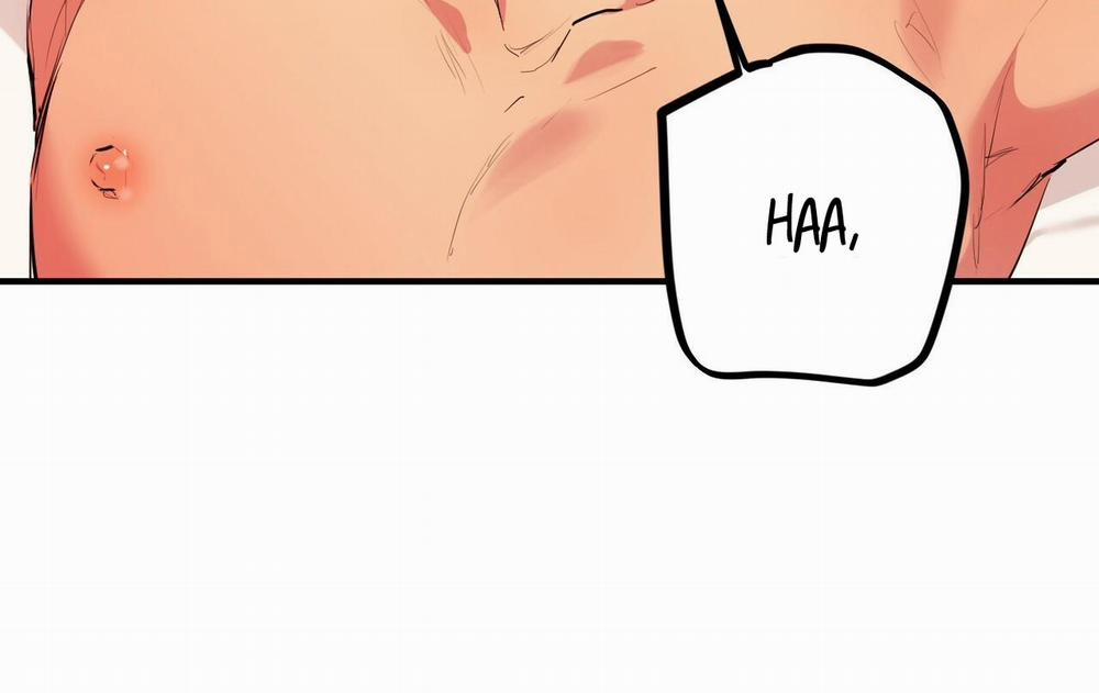 Những Chú Thỏ Của Hapypy 11.2 trang 88