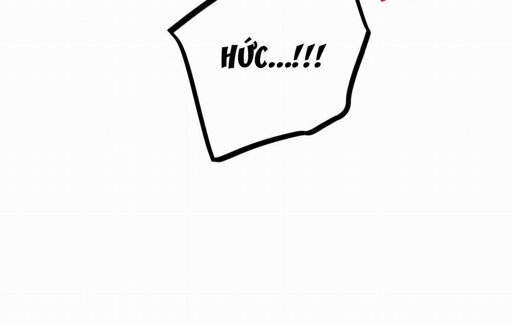 Những Chú Thỏ Của Hapypy 11.2 trang 97